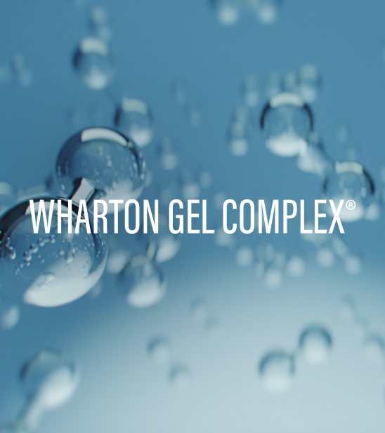 WHARTONGC_FP_Tecnologia_Desktop_548x617