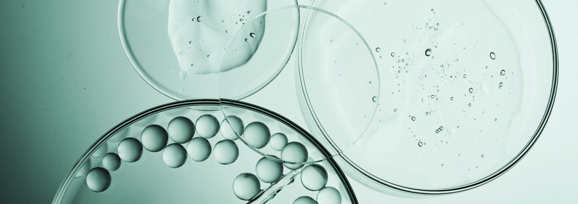 Banner_Image_IFC_CAF_1920x680
