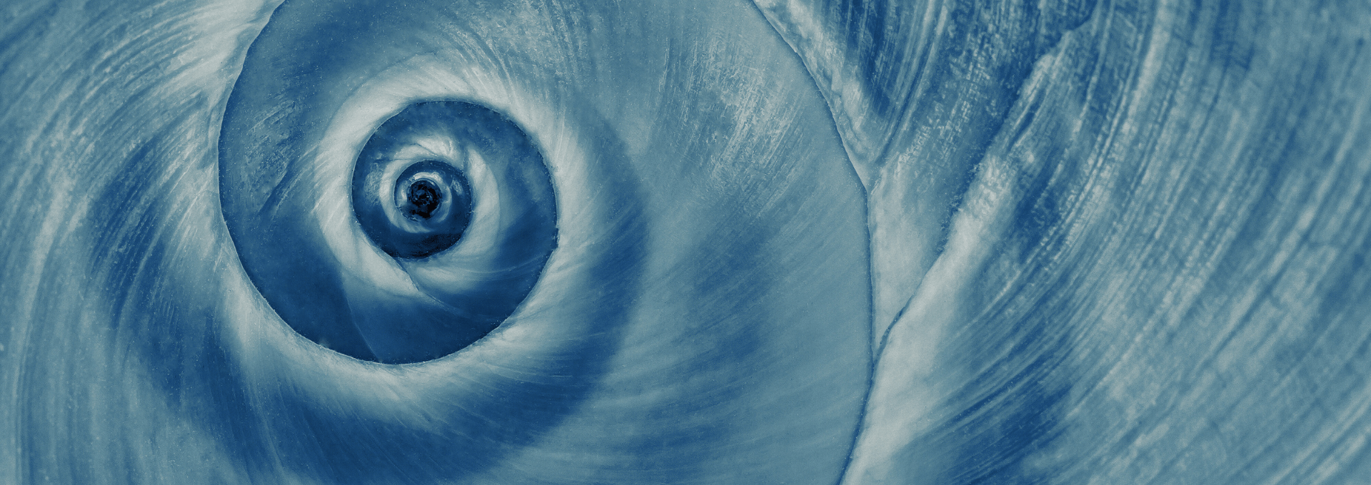 Banner_Image_SCA_1920_680 Banner_Image_SCA_1920_680