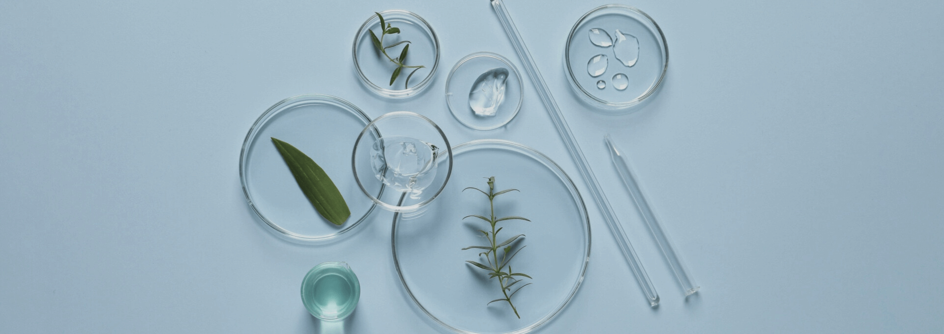 Banner_Image_Edafence_1920x680 Banner_Image_Edafence_1920x680