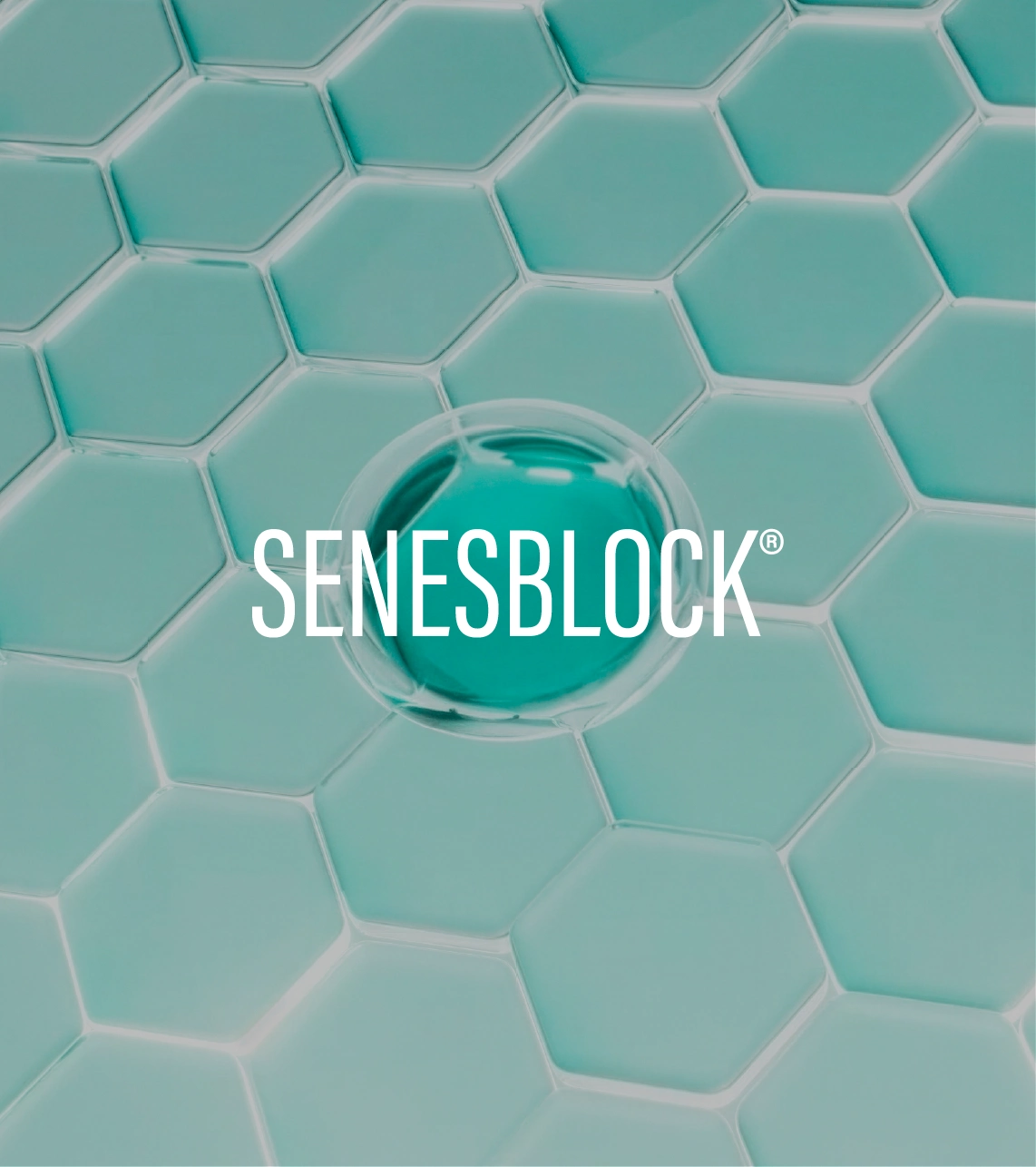 ficha-producto_senesblock