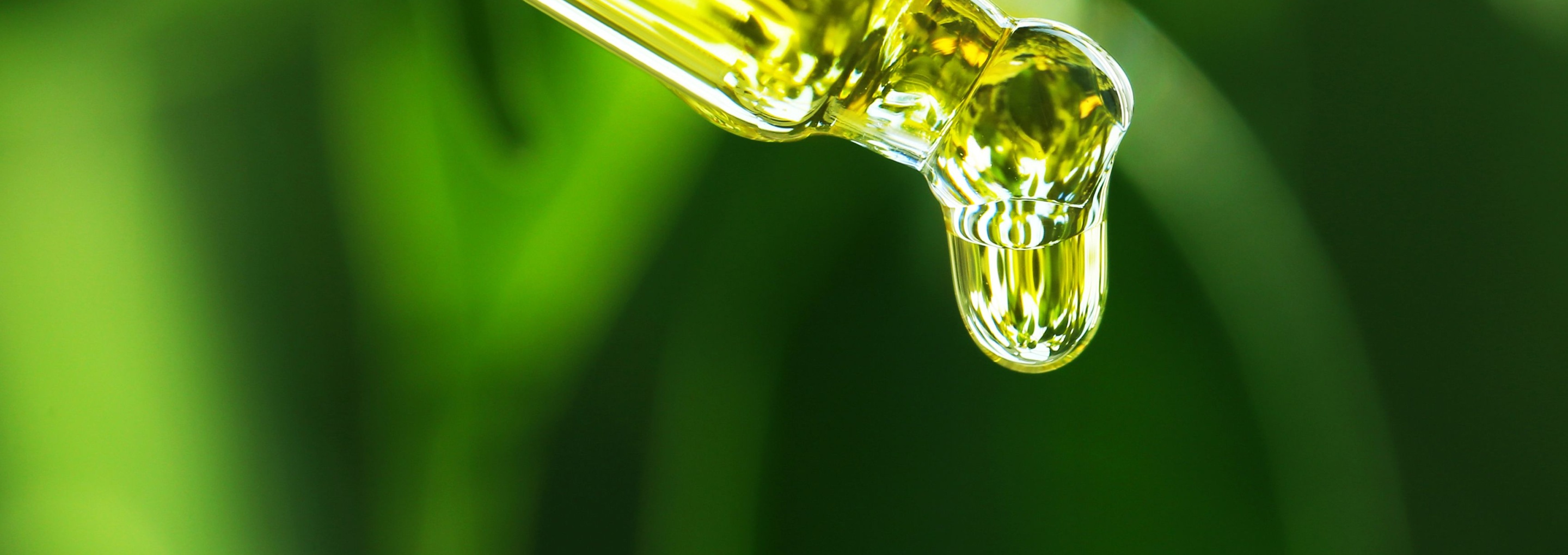 BannerImage_aspafernblock_2880x1020