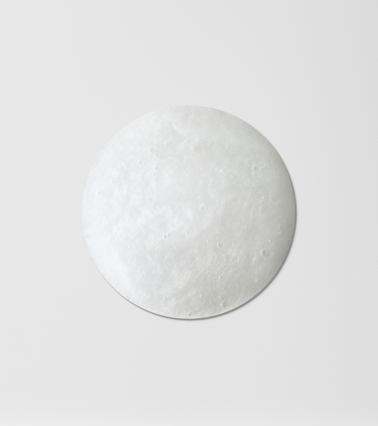 4. Cantabria Labs 1-12-25 iraltone perfect 10 leave in conditioner_0241