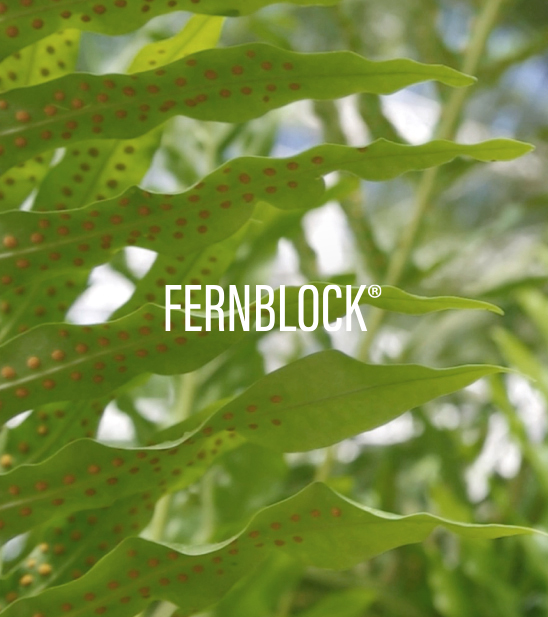 6.-FERNBLOCK_FP_Tecnologia_Desktop_548x617